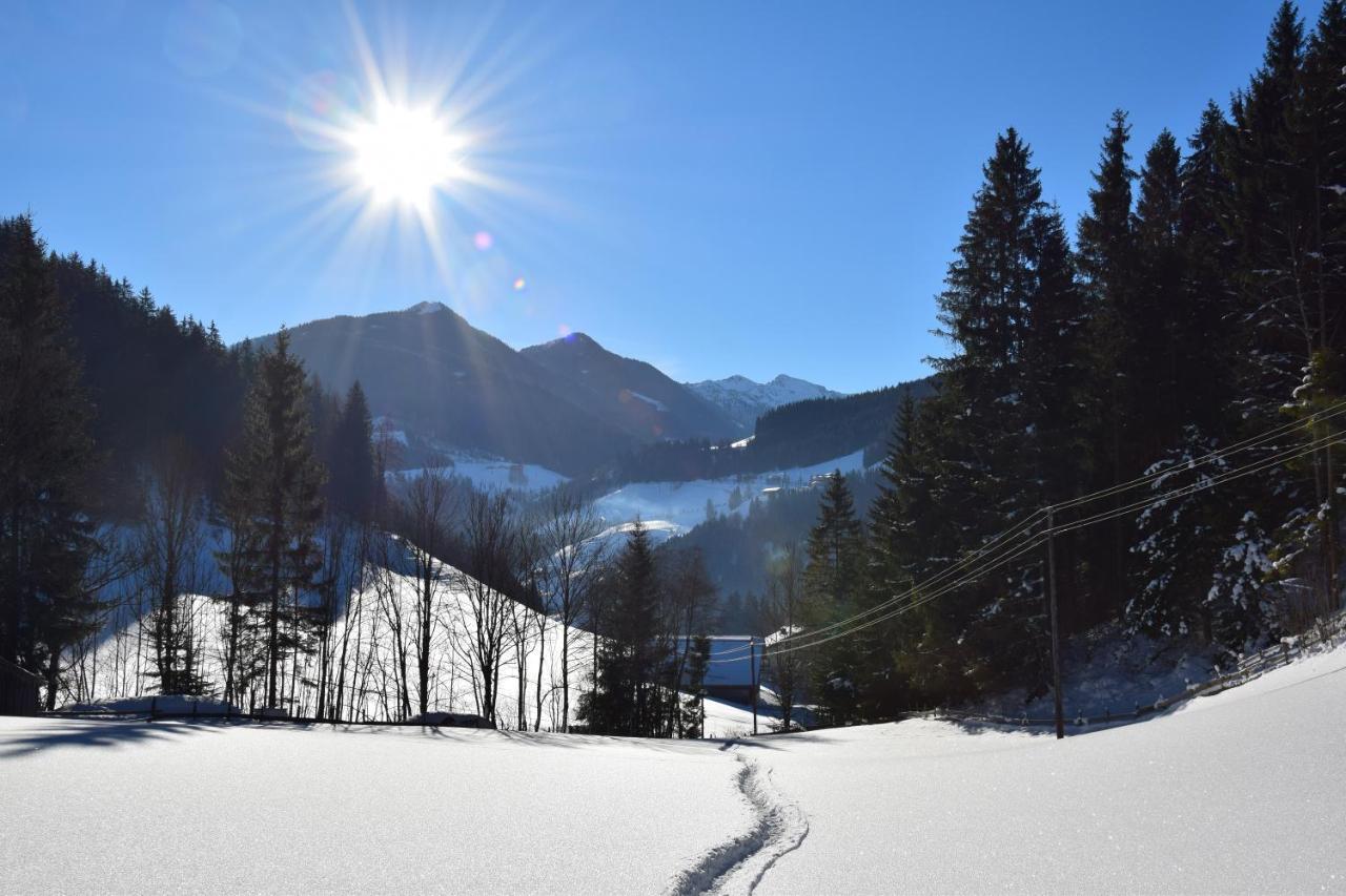 Apartment Obergruberhof Schladming Luaran gambar
