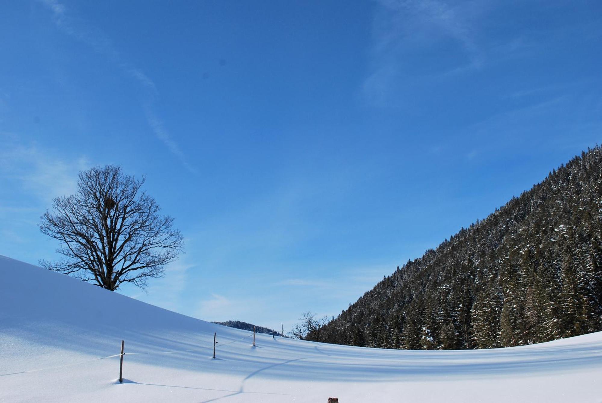 Apartment Obergruberhof Schladming Luaran gambar