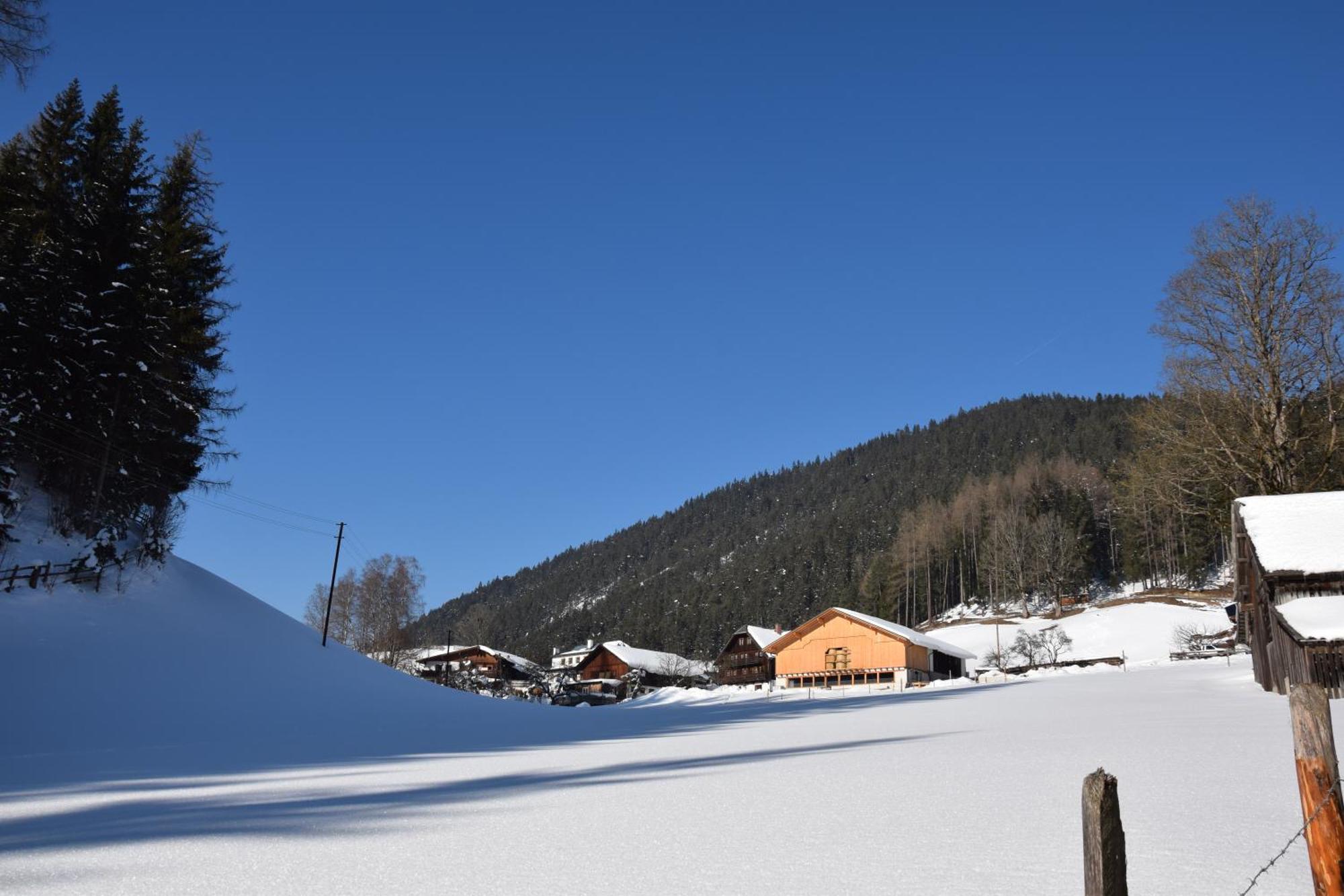 Apartment Obergruberhof Schladming Luaran gambar